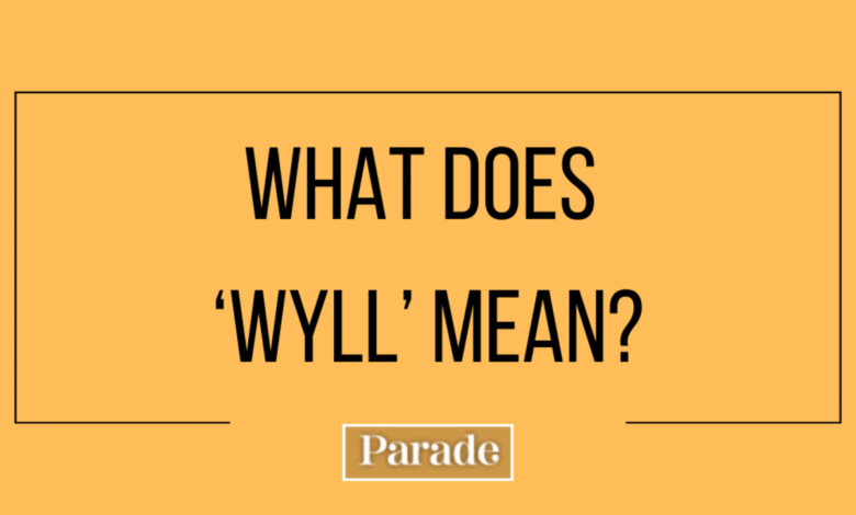 What Does WYLL Mean: A Complete Guide to Its Meaning and Use what does wyll mean