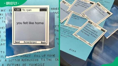 is the unsent project real