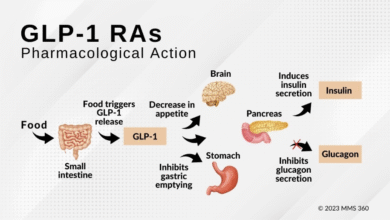 Where Metformin and GLP-1s Intersect