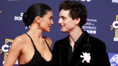 timothee chalamet girlfriend