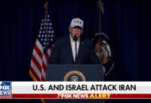 Trump News Today Fox: Inside the Network’s Trump-Centered Surge trump news today fox