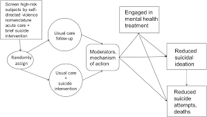 The Suicide Risk Care Pathway in Solo Private Practice safety plan form