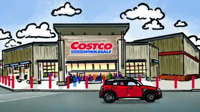 Costco Stock Split Buzz: What It Could Mean for U.S. Investors costco stock split